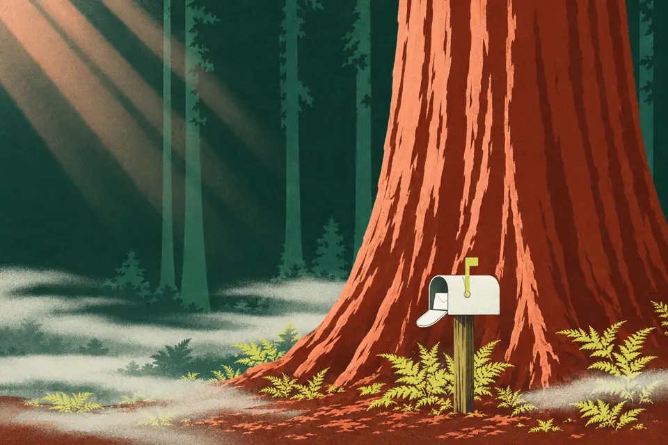 Illustration: a letter box on a wooden post at the foot of a giant sequoia, its door open and its flag up.